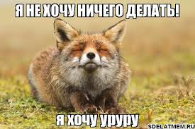 Пост любви к лисам