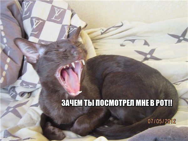 Подборка картинок из сети