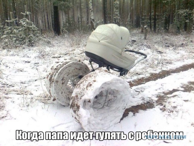 Весёлые картинки