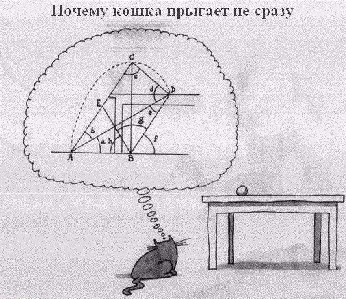 Подборка картинок
