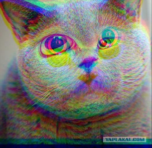 Абсурдная субботница