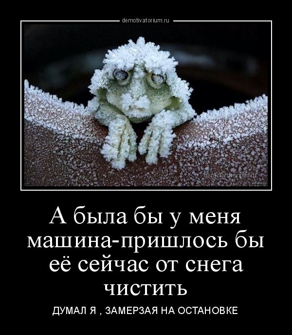 Подборка веселых демотиваторов на сегодня
