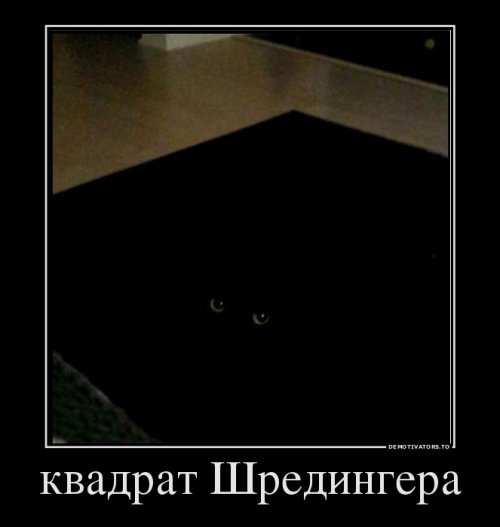 Демы без Темы