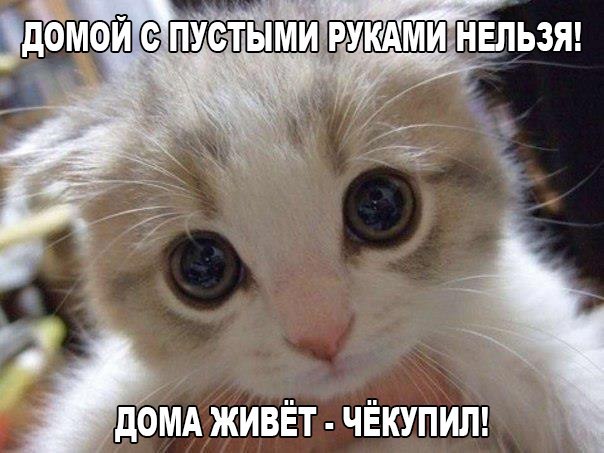 Субботняя подборочка картинок