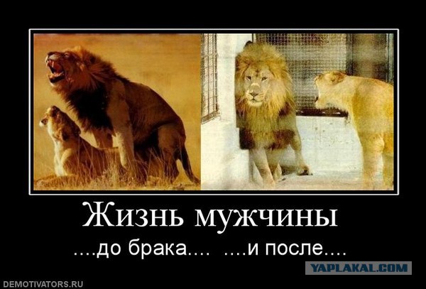 Как меняется жизнь мужчины после женитьбы