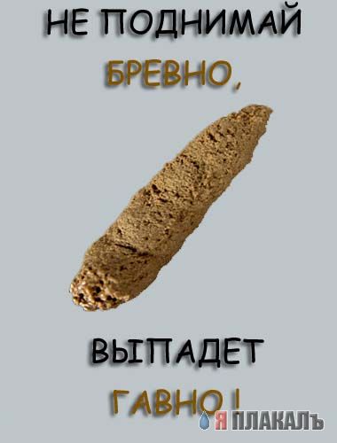 Фотожаба: не будь унылым!