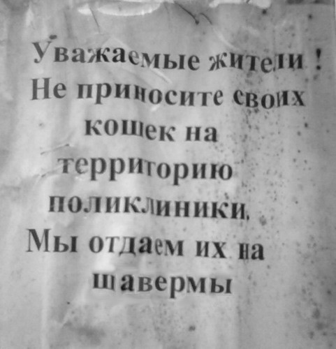 ОБЪЯВЛЕНИЯ. На стенах, в газетах, афиши.