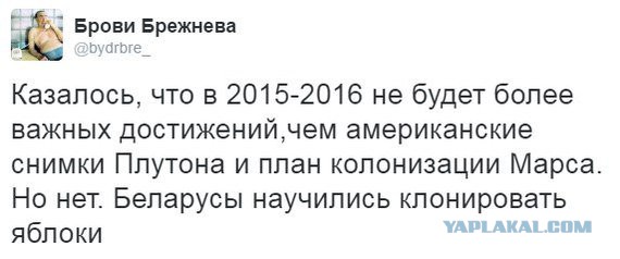 Смешные комментарии 02.10.2016