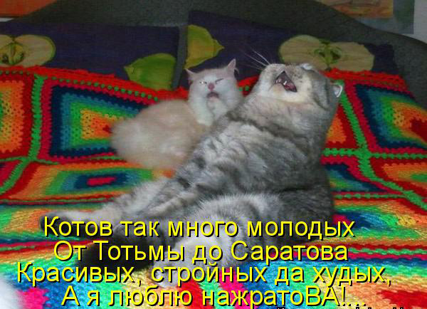 Картинки из ваших интернетов