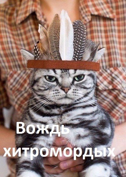 Картинки. Интересные, старые и не очень.