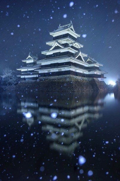 Моменты, запечатлённые на фото и просто позитив 5