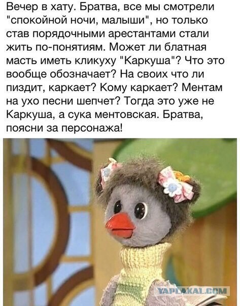 Аморальный и чёрный юмор к началу недели