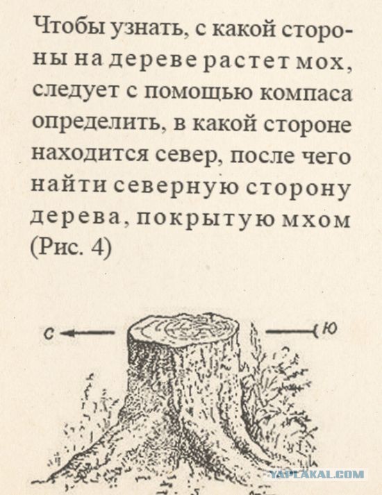 Будет чего-то из сетей