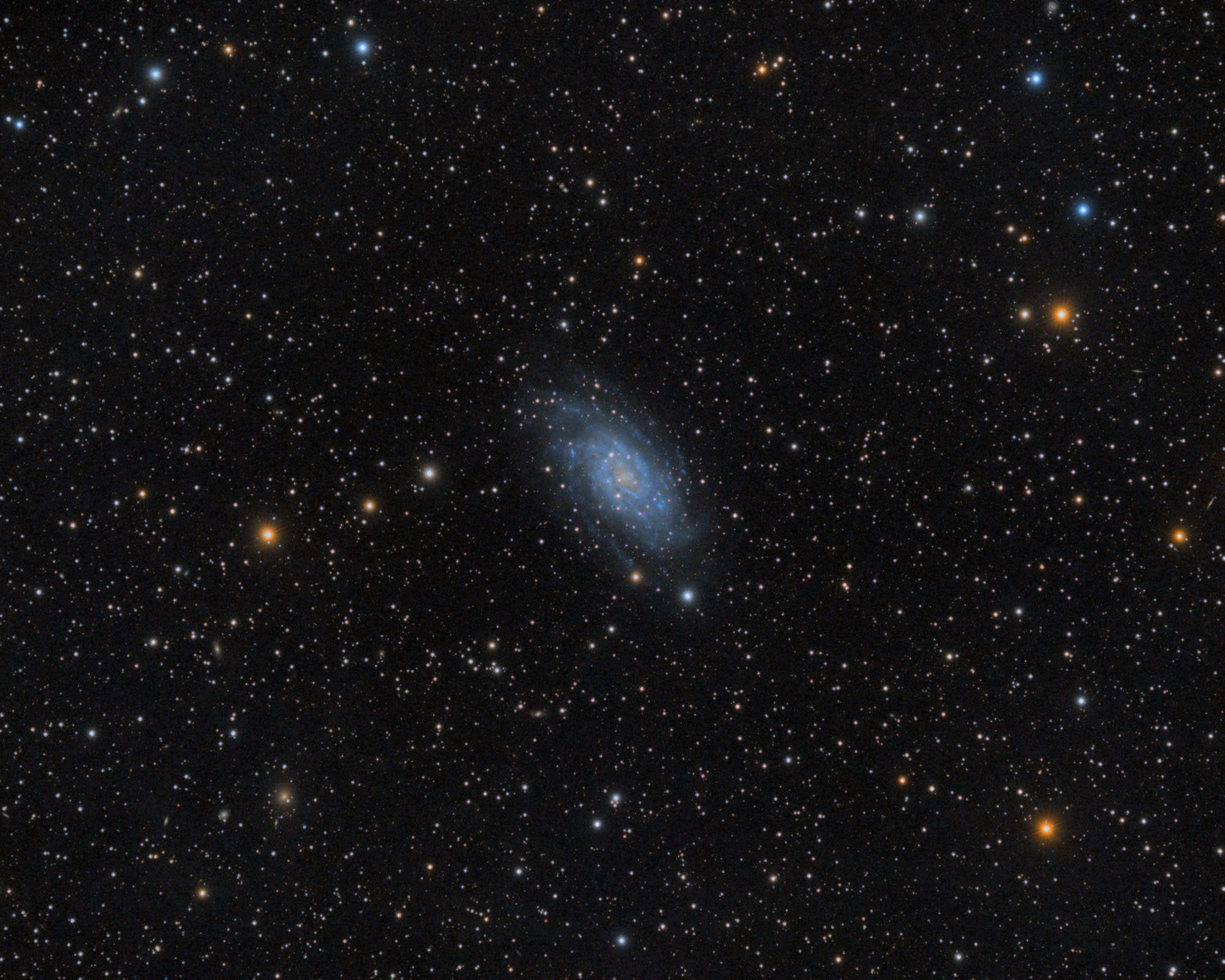 Шаровые скопления в галактике. Шаровое скопление NGS 7089. Ardalis (NGC 2403) - Галактика типа Sab(s)CD. Сверхскопление геркулеса. NGC 262 Галактика.