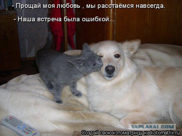 Бытовая проституция