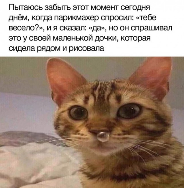Немного картинок для настроения
