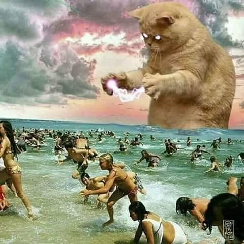 Присоединяйся