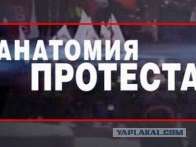 Сколько стоит ретвит Навального