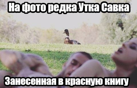 Бредзона 25.01.20