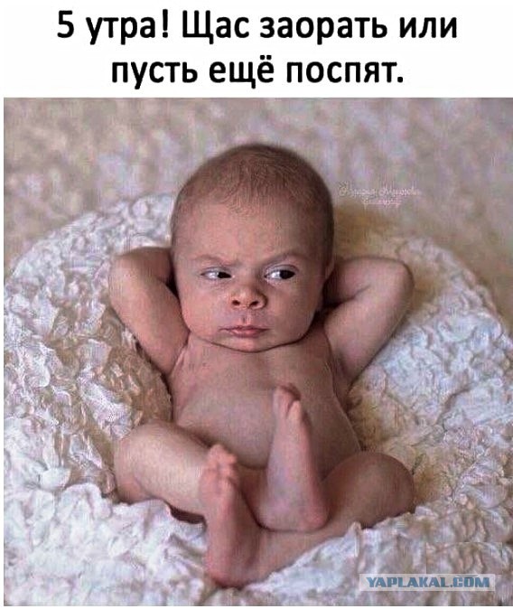 Фотки и картинки: юморные и красивые, забавные и милые 20.09.20