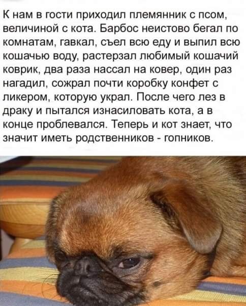 Картинки обо всëм. 07.01.20