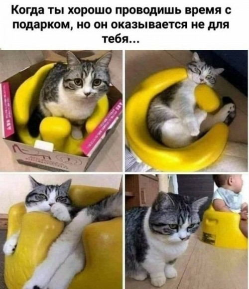 Мемасики от Димасика - Часть 4