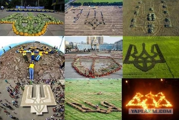Ни в каком виде не принимаю "георгиевские ленты"