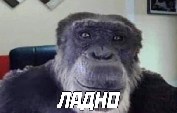 Последняя шутка