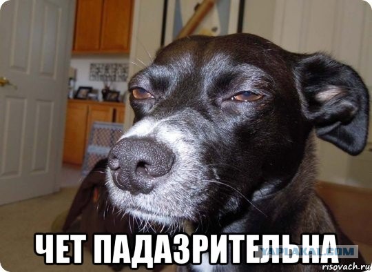 А вы голосуете?