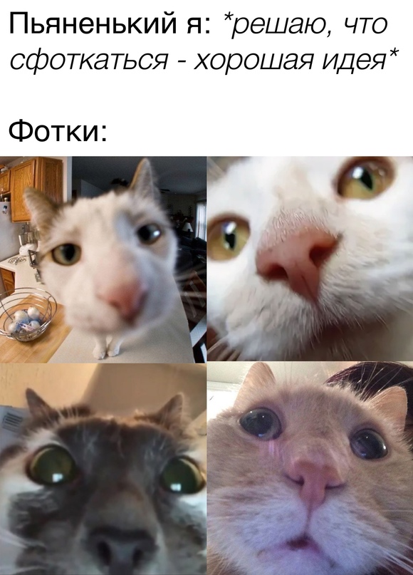 Весёлый полтишок 18.09