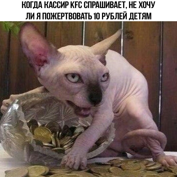 Весёлый полтишок 23.09