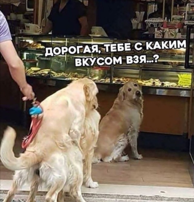 Всяческие картинки 15.11.2021