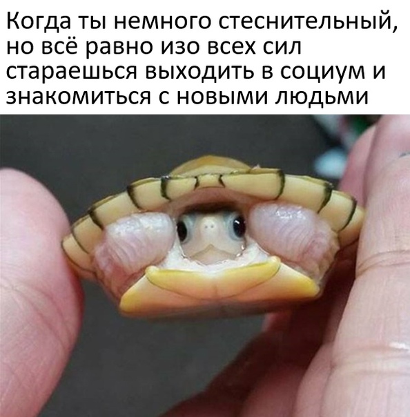 Один шаг и она начнется