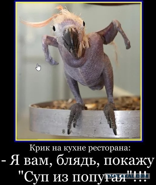 Ну ты смотри, какой хулиган-беспредельщик!