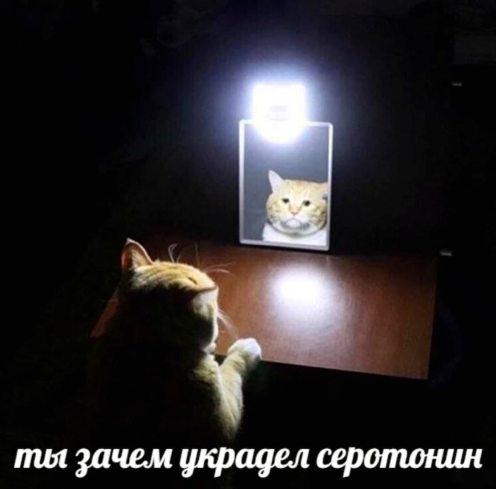 Всякой Хни вам в ленту, дорогие деграданты...