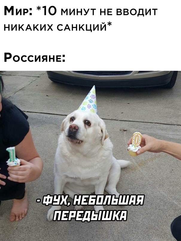 Весёлый полтишок 13.03.22
