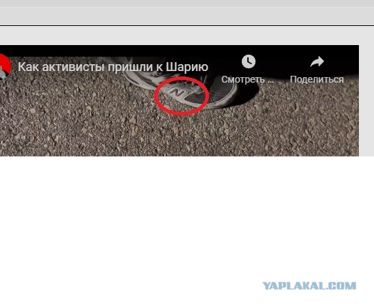 "Беженцы" в Испании пришли что-то доказывать Шарию
