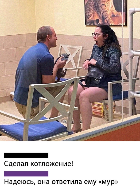 Картинки и мемы для настроения - 19