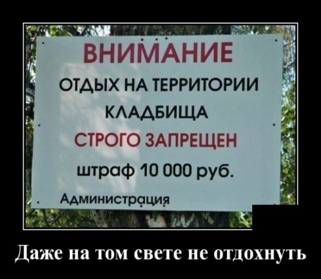 Санки