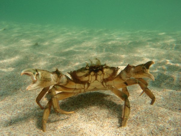 Мыс Тарханкут - самая западная точка Крыма.