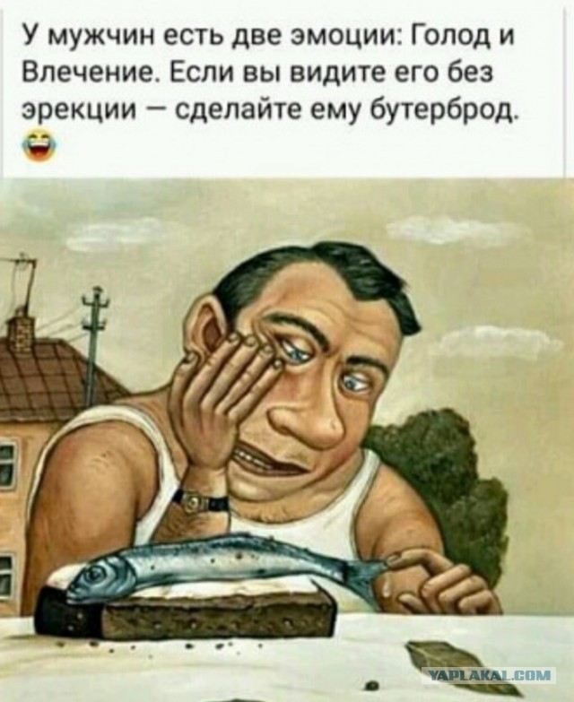 Так себе картинки 03.11.22