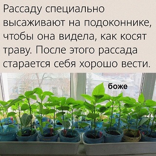 Так себе картинки 02.01.2023