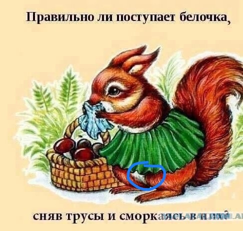 То, что видели мои друзья. Отправленные картинки за несколько лет
