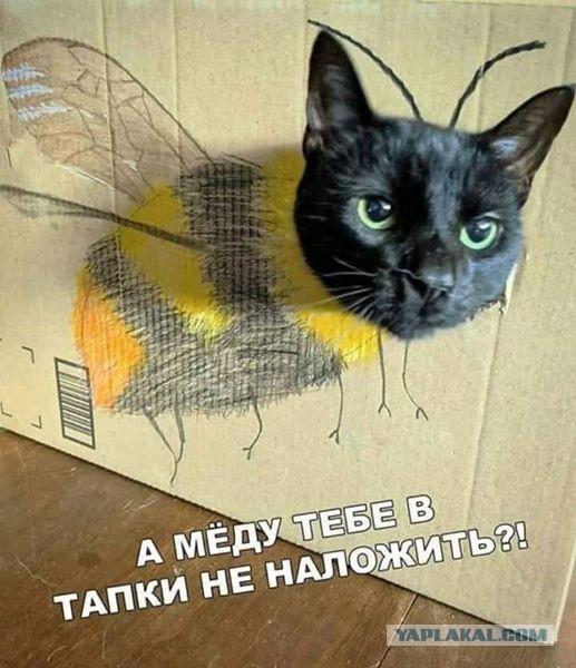 Немного картинок для настроения - 161
