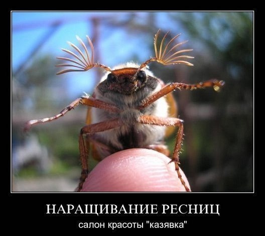 Картинок пост
