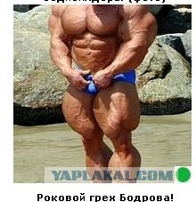 Автодемотиватор на ЯПе