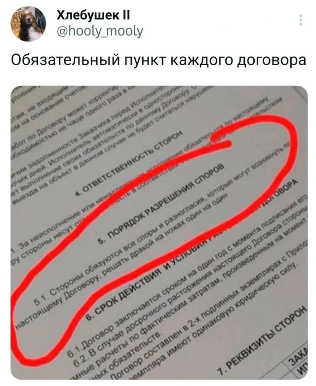 Весёлый полтишок 06.02.24