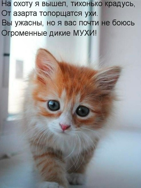 Так себе картинки 03.05.24