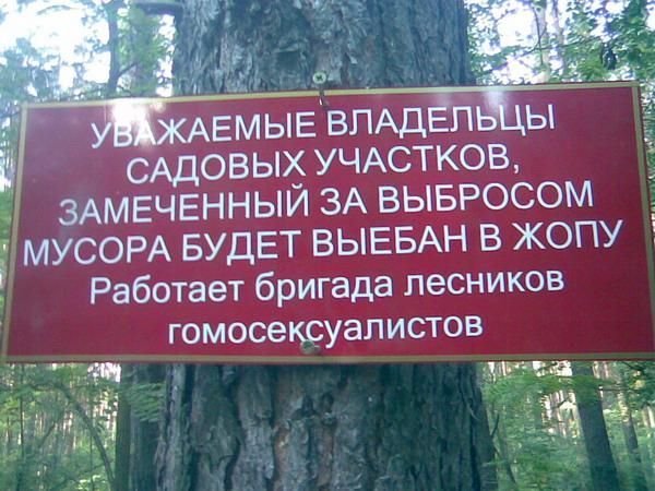 Что ж мы творим, граждане...