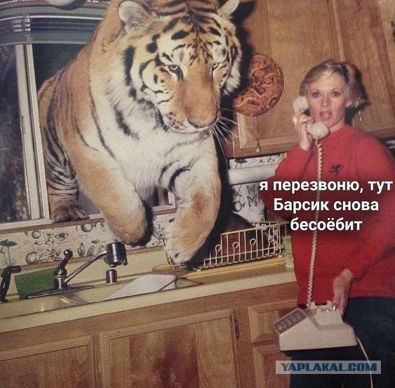 Матерный пост